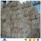 sisal fiber with good quality